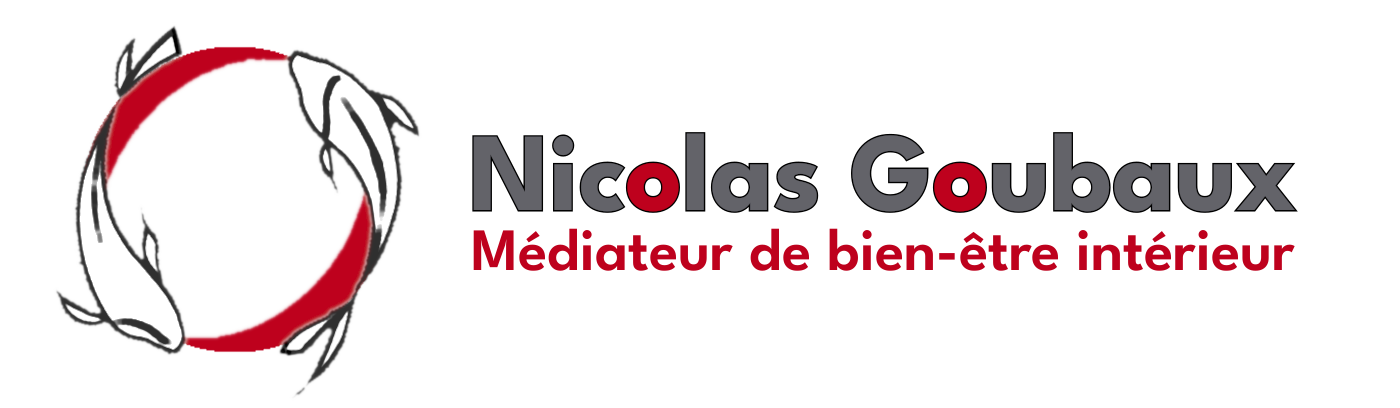 Nicolas Goubaux - Shiatsu - Médiateur - Partenaire Santé